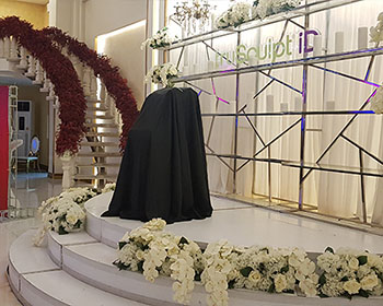شرکت رویداد سازان روشا